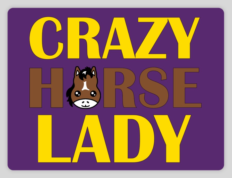 custom laptop sticker that reads crazy horse lady