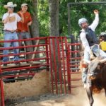 25 Rodeo Quotes & Sayings