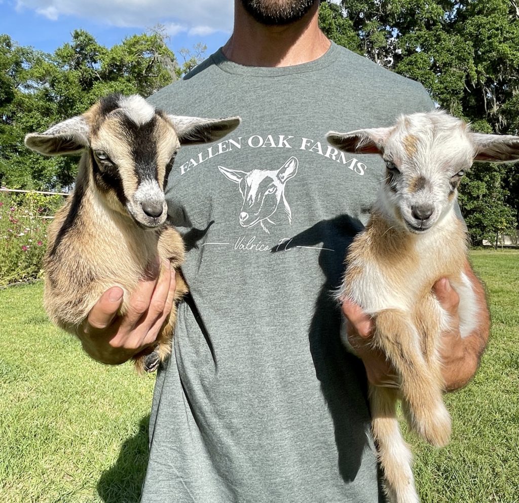 Person holding two baby goats while wearing a goat shirt for Fallen Oak Farms