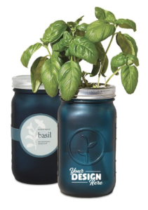 Your employees and clients will love the Modern Sprout Indoor Herb Garden Kit, like this one in a teal mason jar filled with basil.