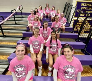 high school volleyball team custom shirts